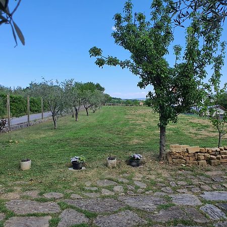 Apartma Vista Baredi Izola Exterior photo