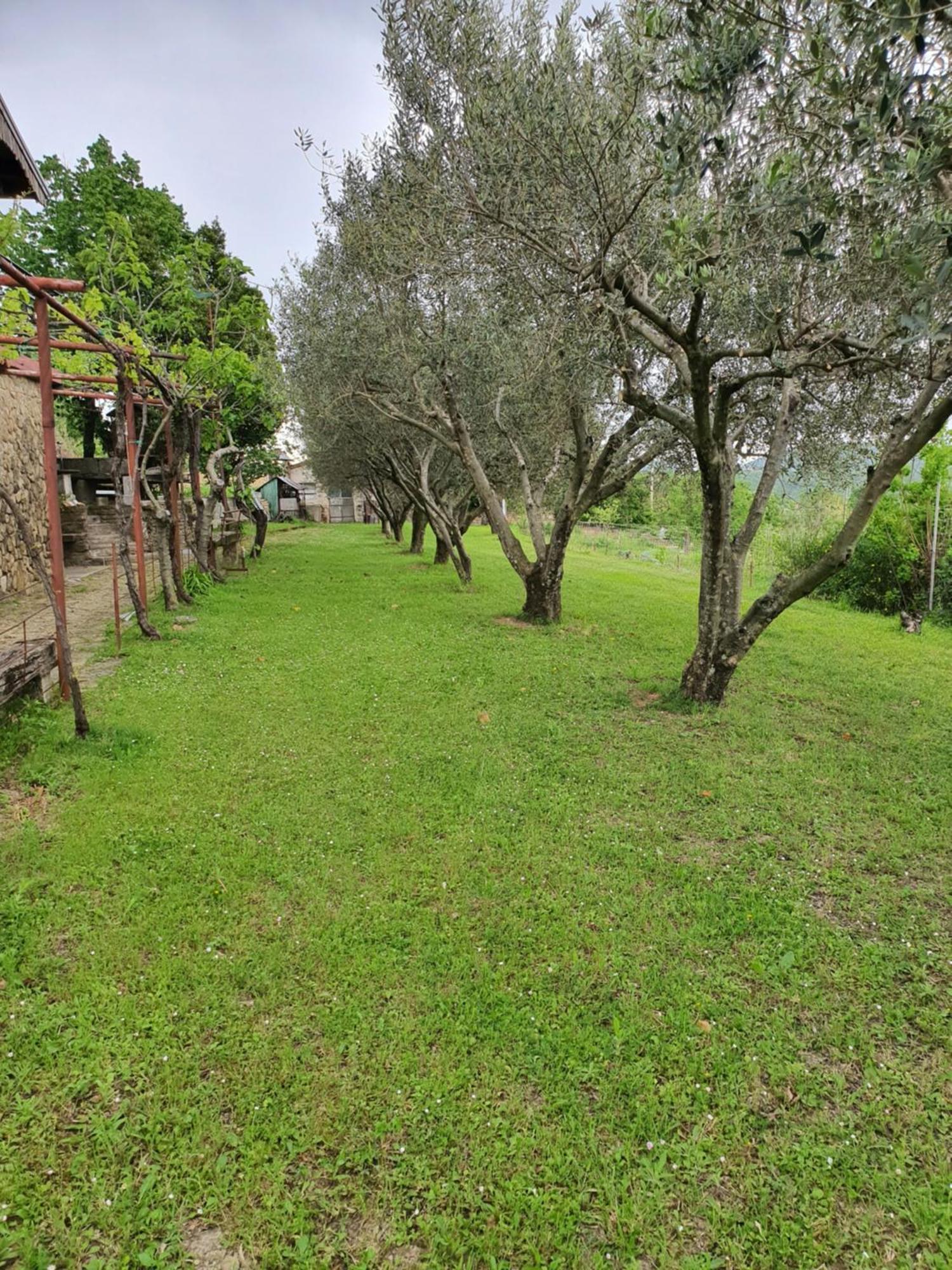 Apartma Vista Baredi Izola Exterior photo
